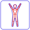 TRASSIR Pose Detector Модуль и ПО TRASSIR