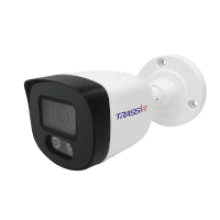 TRASSIR TR-D2B5 v3 3.6